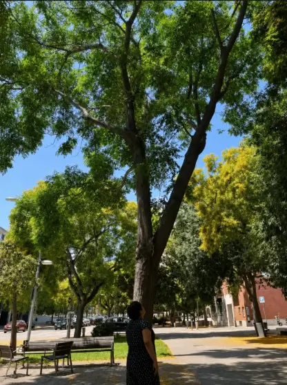 Raquel de lado en el parque